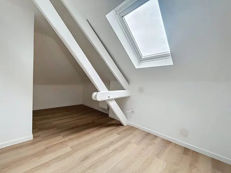 23f340cb2c895bfbde4de17c896610df (1).webp